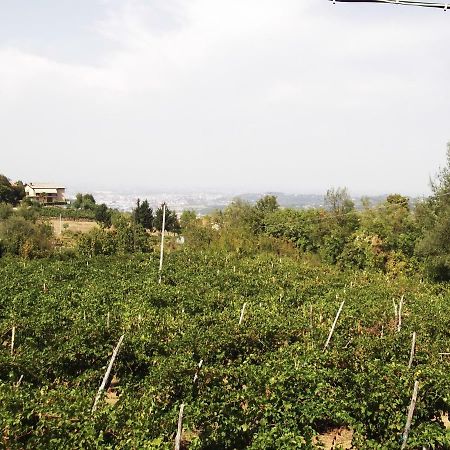 La Panoramica Villa Perarolo Buitenkant foto