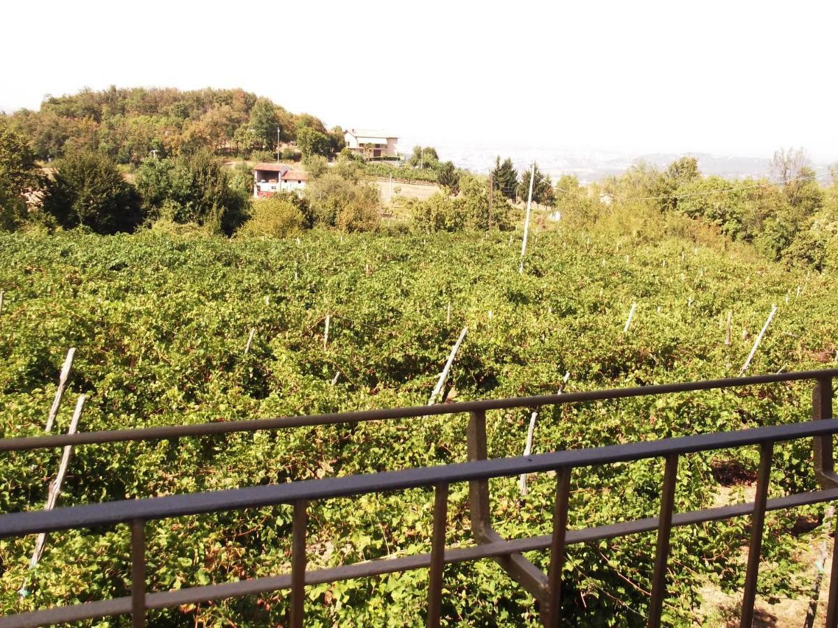 La Panoramica Villa Perarolo Buitenkant foto